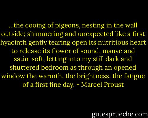 ...the cooing of pigeons, nesting in the wall outside; shimmering and unexpected like a first hyacinth gently tearing open its nutritious heart to release its flower of sound, mauve and satin-soft, letting into my still dark and shuttered bedroom as through an opened window the warmth, the brightness, the fatigue of a first fine day. - Marcel Proust