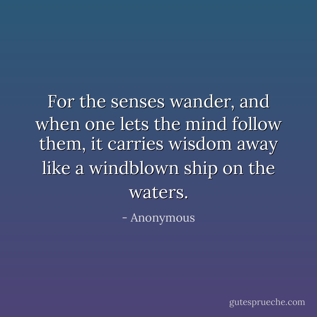 For the senses wander, and when one lets the mind follow them, it carries wisdom away like a windblown ship on the waters. - Anonymous