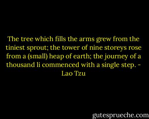The tree which fills the arms grew from the tiniest sprout; the tower of nine storeys rose from a (small) heap of earth; the journey of a thousand li commenced with a single step. - Lao Tzu
