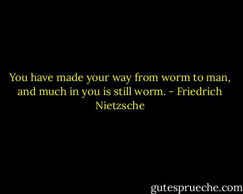 You have made your way from worm to man, and much in you is still worm. - Friedrich Nietzsche