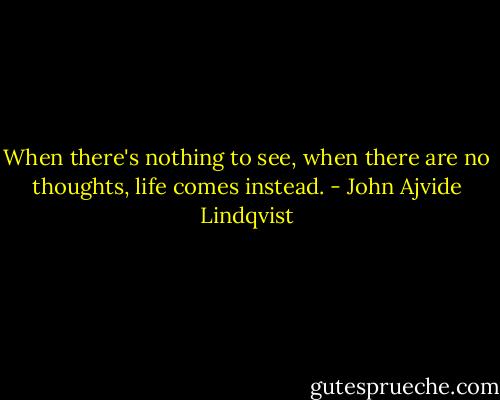 When there's nothing to see, when there are no thoughts, life comes instead. - John Ajvide Lindqvist