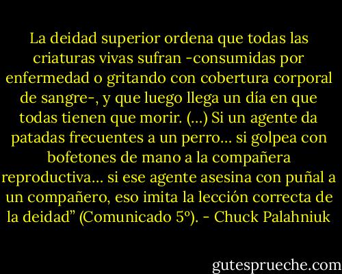 La deidad superior ordena que todas las criaturas vivas sufran -consumidas por enfermedad o gritando con cobertura corporal de sangre-, y que luego llega un día en que todas tienen que morir. (…) Si un agente da patadas frecuentes a un perro… si golpea con bofetones de mano a la compañera reproductiva… si ese agente asesina con puñal a un compañero, eso imita la lección correcta de la deidad” (Comunicado 5º). - Chuck Palahniuk