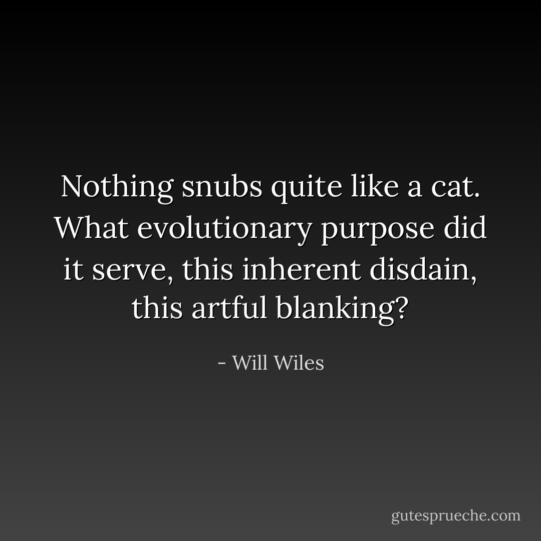 Nothing snubs quite like a cat. What evolutionary purpose did it serve, this inherent disdain, this artful blanking? - Will Wiles