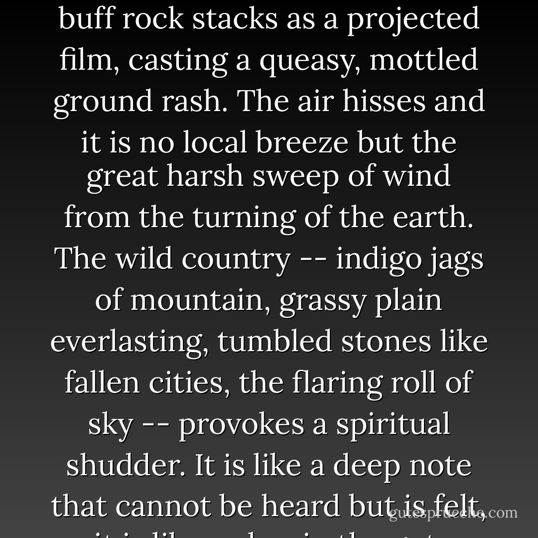 You stand there, braced. Cloud shadows race back over the buff rock stacks as a projected film, casting a queasy, mottled ground rash. The air hisses and it is no local breeze but the great harsh sweep of wind from the turning of the earth. The wild country -- indigo jags of mountain, grassy plain everlasting, tumbled stones like fallen cities, the flaring roll of sky -- provokes a spiritual shudder. It is like a deep note that cannot be heard but is felt, it is like a claw in the gut. - Annie Proulx