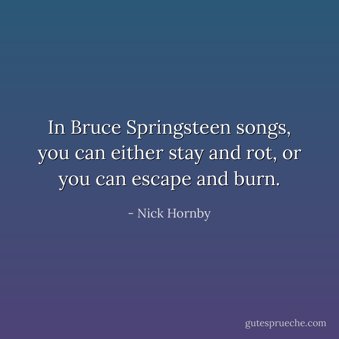 In Bruce Springsteen songs, you can either stay and rot, or you can escape and burn. - Nick Hornby