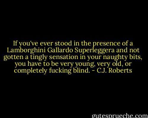 If you've ever stood in the presence of a Lamborghini Gallardo Superleggera and not gotten a tingly sensation in your naughty bits, you have to be very young, very old, or completely fucking blind. - C.J. Roberts