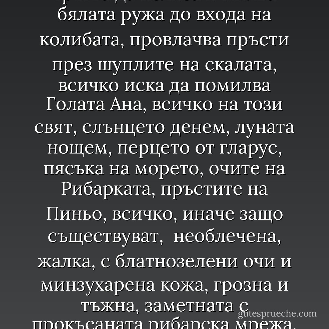 Ана посяга и погалва Пиньо по ръката от рамото до пръстите, погалва и рижавата котка, хляба върху масата, тръгва да излиза и милва бялата ружа до входа на колибата, провлачва пръсти през шуплите на скалата, всичко иска да помилва Голата Ана, всичко на този свят, слънцето денем, луната нощем, перцето от гларус, пясъка на морето, очите на Рибарката, пръстите на Пиньо, всичко, иначе защо съществуват,<br /><br />необлечена, жалка, с блатнозелени очи и минзухарена кожа, грозна и тъжна, заметната с прокъсаната рибарска мрежа, боли да я гледаш, боли да я чувстваш,<br /><br />Пиньо заплаква и с двете си очи. - Керана Ангелова