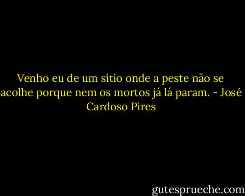 Venho eu de um sítio onde a peste não se acolhe porque nem os mortos já lá param. - José Cardoso Pires
