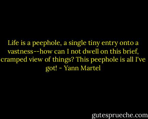Life is a peephole, a single tiny entry onto a vastness--how can I not dwell on this brief, cramped view of things? This peephole is all I've got! - Yann Martel