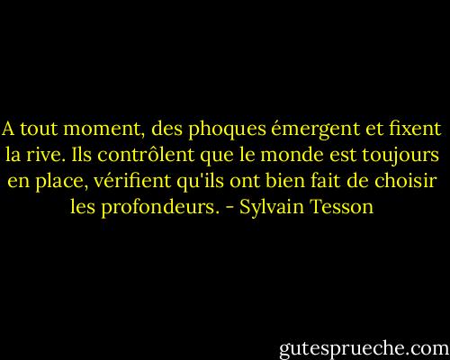 A tout moment, des phoques émergent et fixent la rive. Ils contrôlent que le monde est toujours en place, vérifient qu'ils ont bien fait de choisir les profondeurs. - Sylvain Tesson