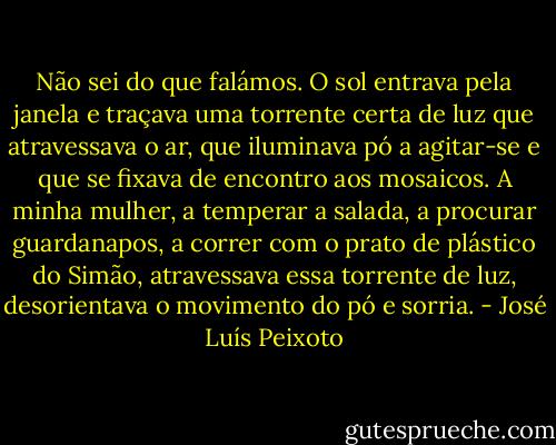 Não sei do que falámos. O sol entrava pela janela e traçava uma torrente certa de luz que atravessava o ar, que iluminava pó a agitar-se e que se fixava de encontro aos mosaicos. A minha mulher, a temperar a salada, a procurar guardanapos, a correr com o prato de plástico do Simão, atravessava essa torrente de luz, desorientava o movimento do pó e sorria. - José Luís Peixoto