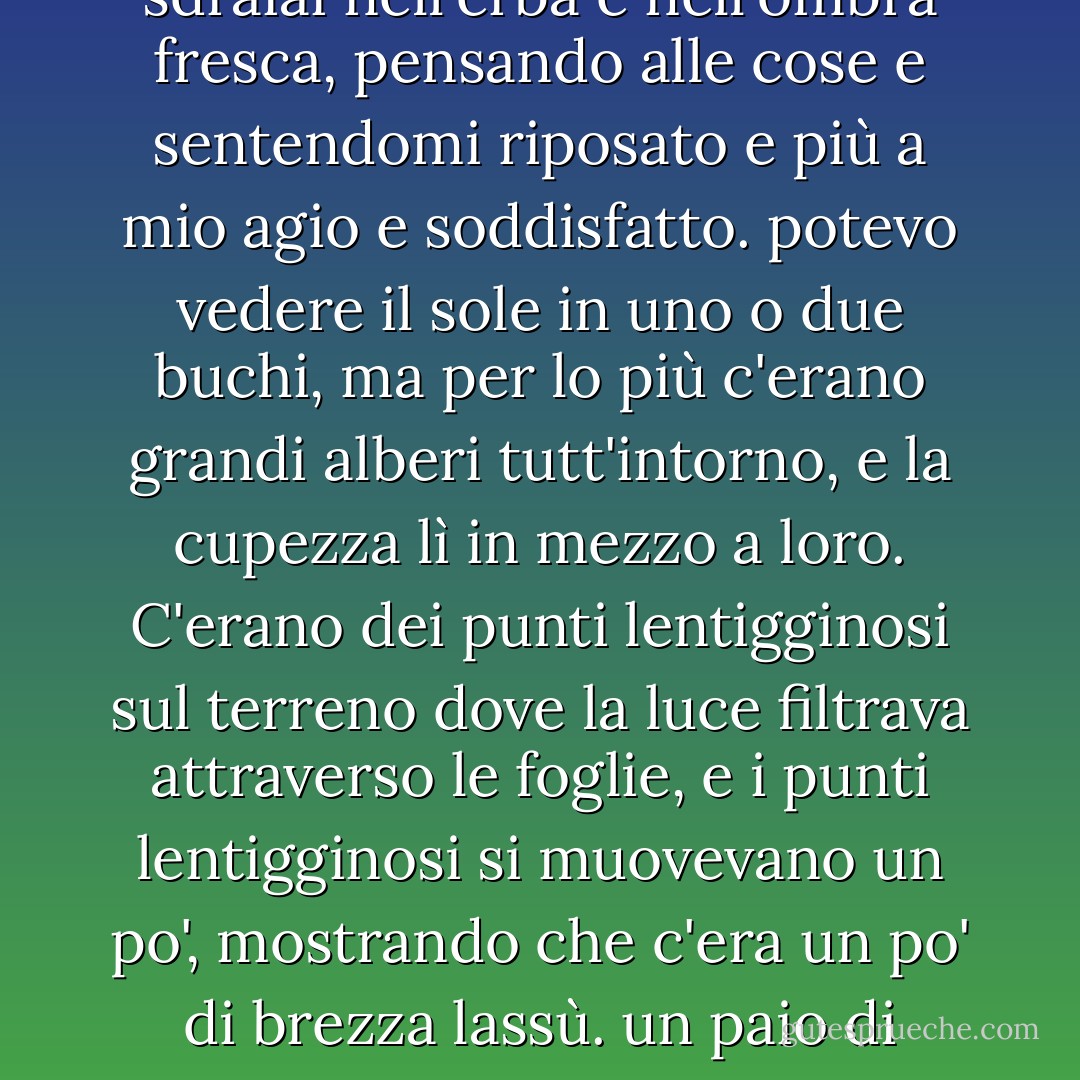 il sole era così alto quando mi svegliai, che giudicai che fossero passate le otto. mi sdraiai nell'erba e nell'ombra fresca, pensando alle cose e sentendomi riposato e più a mio agio e soddisfatto. potevo vedere il sole in uno o due buchi, ma per lo più c'erano grandi alberi tutt'intorno, e la cupezza lì in mezzo a loro. C'erano dei punti lentigginosi sul terreno dove la luce filtrava attraverso le foglie, e i punti lentigginosi si muovevano un po', mostrando che c'era un po' di brezza lassù. un paio di scoiattoli si posarono su un ramo e mi salutarono molto amichevolmente. - Mark Twain