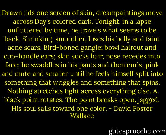 Drawn lids one screen of skin, dreampaintings move across Day's colored dark. Tonight, in a lapse unfluttered by time, he travels what seems to be back. Shrinking, smoother, loses his belly and faint acne scars. Bird-boned gangle; bowl haircut and cup-handle ears; skin sucks hair, nose recedes into face; he swaddles in his pants and then curls, pink and mute and smaller until he feels himself split into something that wriggles and something that spins. Nothing stretches tight across everything else. A black point rotates. The point breaks open, jagged. His soul sails toward one color. - David Foster Wallace