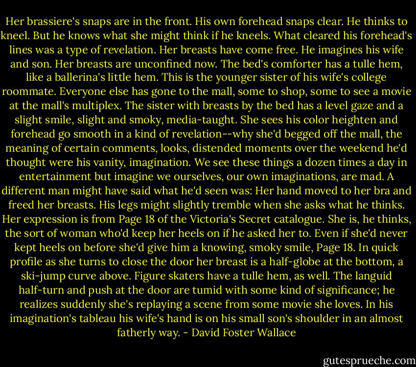 Her brassiere's snaps are in the front. His own forehead snaps clear. He thinks to kneel. But he knows what she might think if he kneels. What cleared his forehead's lines was a type of revelation. Her breasts have come free. He imagines his wife and son. Her breasts are unconfined now. The bed's comforter has a tulle hem, like a ballerina's little hem. This is the younger sister of his wife's college roommate. Everyone else has gone to the mall, some to shop, some to see a movie at the mall's multiplex. The sister with breasts by the bed has a level gaze and a slight smile, slight and smoky, media-taught. She sees his color heighten and forehead go smooth in a kind of revelation--why she'd begged off the mall, the meaning of certain comments, looks, distended moments over the weekend he'd thought were his vanity, imagination. We see these things a dozen times a day in entertainment but imagine we ourselves, our own imaginations, are mad. A different man might have said what he'd seen was: Her hand moved to her bra and freed her breasts. His legs might slightly tremble when she asks what he thinks. Her expression is from Page 18 of the Victoria's Secret catalogue. She is, he thinks, the sort of woman who'd keep her heels on if he asked her to. Even if she'd never kept heels on before she'd give him a knowing, smoky smile, Page 18. In quick profile as she turns to close the door her breast is a half-globe at the bottom, a ski-jump curve above. Figure skaters have a tulle hem, as well. The languid half-turn and push at the door are tumid with some kind of significance; he realizes suddenly she's replaying a scene from some movie she loves. In his imagination's tableau his wife's hand is on his small son's shoulder in an almost fatherly way. - David Foster Wallace