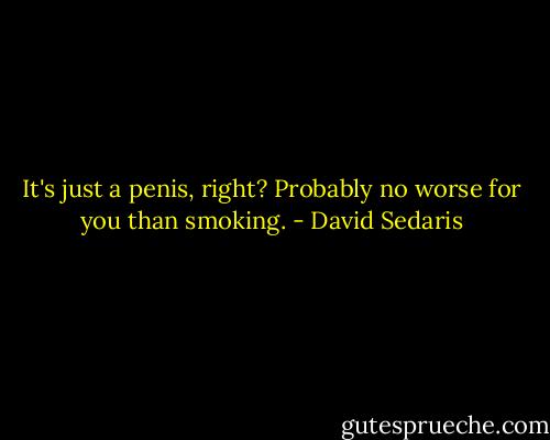 It's just a penis, right? Probably no worse for you than smoking. - David Sedaris