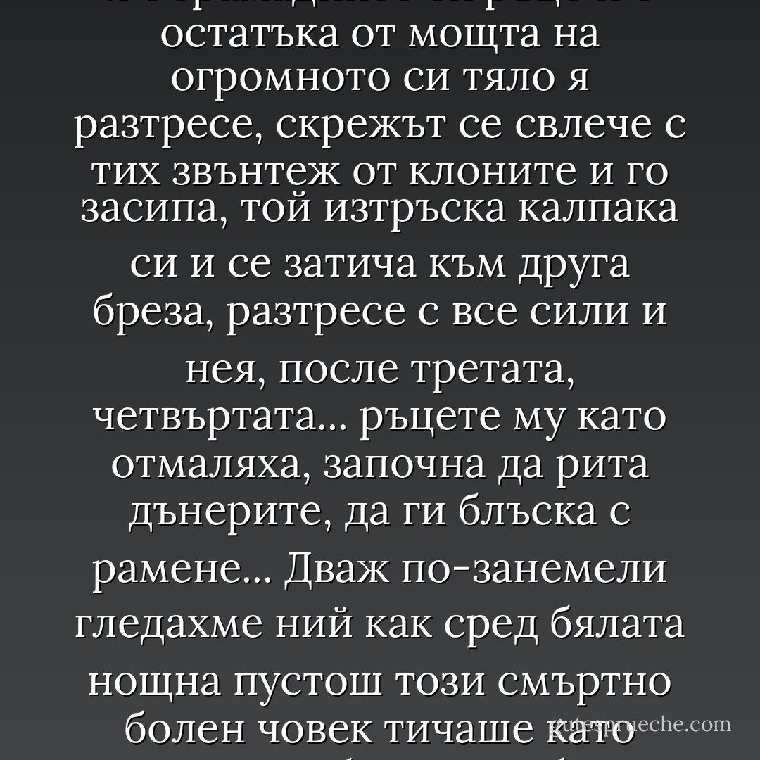 - Мамка й красота! - извика той. - Ще потроши брезичките!<br />И се втурна към най-близката бреза, прегърна я с грамадните си ръце и с остатъка от мощта на огромното си тяло я разтресе, скрежът се свлече с тих звънтеж от клоните и го засипа, той изтръска калпака си и се затича към друга бреза, разтресе с все сили и нея, после третата, четвъртата... ръцете му като отмаляха, започна да рита дънерите, да ги блъска с рамене...<br />Дваж по-занемели гледахме ний как сред бялата нощна пустош този смъртно болен човек тичаше като полудял от бреза към бреза, риташе дънерите им и викаше:<br />- Момчета, да спасим дръвчетата! - Стефан Цанев