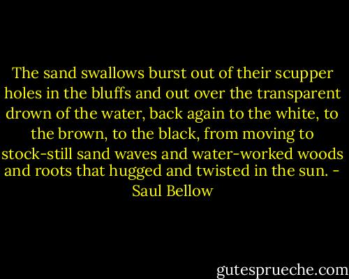 The sand swallows burst out of their scupper holes in the bluffs and out over the transparent drown of the water, back again to the white, to the brown, to the black, from moving to stock-still sand waves and water-worked woods and roots that hugged and twisted in the sun. - Saul Bellow