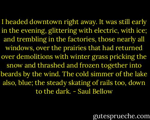 I headed downtown right away. It was still early in the evening, glittering with electric, with ice; and trembling in the factories, those nearly all windows, over the prairies that had returned over demolitions with winter grass pricking the snow and thrashed and frozen together into beards by the wind. The cold simmer of the lake also, blue; the steady skating of rails too, down to the dark. - Saul Bellow