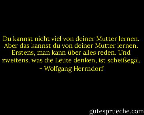 Du kannst nicht viel von deiner Mutter lernen. Aber das kannst du von deiner Mutter lernen. Erstens, man kann über alles reden. Und zweitens, was die Leute denken, ist scheißegal. - Wolfgang Herrndorf