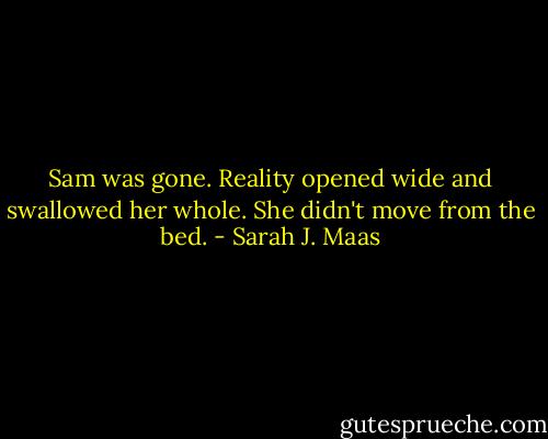Sam was gone.<br />Reality opened wide and swallowed her whole.<br />She didn't move from the bed. - Sarah J. Maas