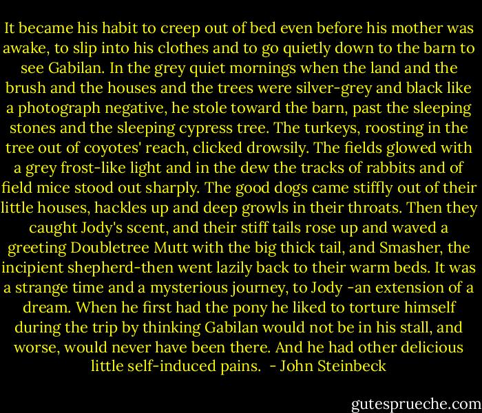 It became his habit to creep out of bed even before his mother was awake, to slip into his clothes and to go quietly down to the barn to see Gabilan. In the grey quiet mornings when the land and the brush and the houses and the trees were silver-grey and black like a photograph negative, he stole toward the barn, past the sleeping stones and the sleeping cypress tree. The turkeys, roosting in the tree out of coyotes' reach, clicked drowsily. The fields glowed with a grey frost-like light and in the dew the tracks of rabbits and of field mice stood out sharply. The good dogs came stiffly out of their little houses, hackles up and deep growls in their throats. Then they caught Jody's scent, and their stiff tails rose up and waved a greeting Doubletree Mutt with the big thick tail, and Smasher, the incipient shepherd-then went lazily back to their warm beds. It was a strange time and a mysterious journey, to Jody -an extension of a dream. When he first had the pony he liked to torture himself during the trip by thinking Gabilan would not be in his stall, and worse, would never have been there. And he had other delicious little self-induced pains.  - John Steinbeck