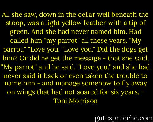 All she saw, down in the cellar well beneath the stoop, was a light yellow feather with a tip of green. And she had never named him. Had called him "my parrot" all these years. "My parrot." "Love you. "Love you."<br />Did the dogs get him? Or did he get the message - that she said, "My parrot" and he said, "Love you," and she had never said it back or even taken the trouble to name him - and manage somehow to fly away on wings that had not soared for six years. - Toni Morrison