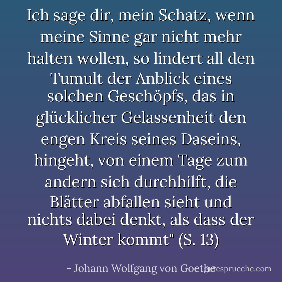 Ich sage dir, mein Schatz, wenn meine Sinne gar nicht mehr halten wollen, so lindert all den Tumult der Anblick eines solchen Geschöpfs, das in glücklicher Gelassenheit den engen Kreis seines Daseins, hingeht, von einem Tage zum andern sich durchhilft, die Blätter abfallen sieht und nichts dabei denkt, als dass der Winter kommt" (S. 13) - Johann Wolfgang von Goethe