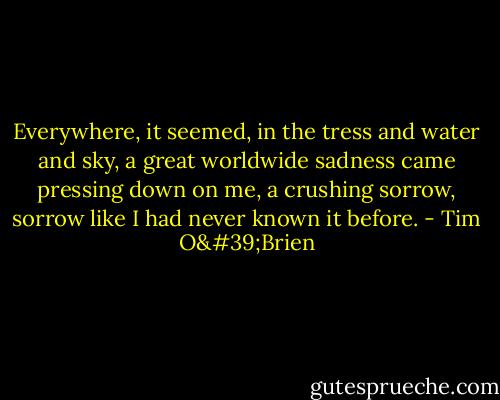 Everywhere, it seemed, in the tress and water and sky, a great worldwide sadness came pressing down on me, a crushing sorrow, sorrow like I had never known it before. - Tim O'Brien