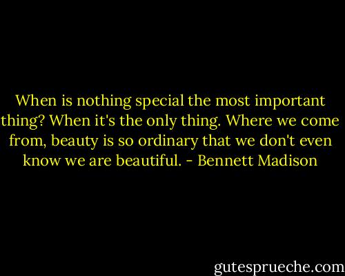 When is nothing special the most important thing? When it's the only thing. Where we come from, beauty is so ordinary that we don't even know we are beautiful. - Bennett Madison