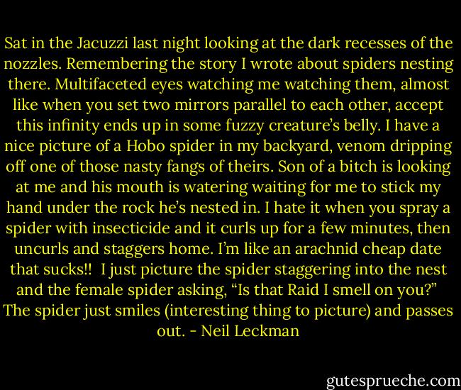 Sat in the Jacuzzi last night looking at the dark recesses of the nozzles. Remembering the story I wrote about spiders nesting there. Multifaceted eyes watching me watching them, almost like when you set two mirrors parallel to each other, accept this infinity ends up in some fuzzy creature’s belly. I have a nice picture of a Hobo spider in my backyard, venom dripping off one of those nasty fangs of theirs. Son of a bitch is looking at me and his mouth is watering waiting for me to stick my hand under the rock he’s nested in. I hate it when you spray a spider with insecticide and it curls up for a few minutes, then uncurls and staggers home. I’m like an arachnid cheap date that sucks!!<br /> I just picture the spider staggering into the nest and the female spider asking, “Is that Raid I smell on you?”<br /> The spider just smiles (interesting thing to picture) and passes out. - Neil Leckman