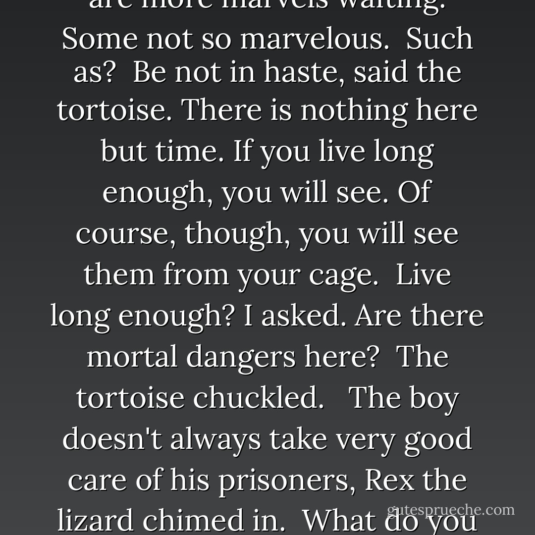 I had no idea what humans were capable of. I heard they were crafty, but how are they able to do such things?<br /><br />You mean harness light and water? Speedy asked. Change the weather?<br /><br />Yes.<br /><br />It's only the beginning, Speedy said. There are more marvels waiting. Some not so marvelous.<br /><br />Such as?<br /><br />Be not in haste, said the tortoise.<br />There is nothing here but time.<br />If you live long enough, you will see.<br />Of course, though, you will see them from your cage.<br /><br />Live long enough? I asked. Are there mortal dangers here?<br /><br />The tortoise chuckled. <br /><br />The boy doesn't always take very good care of his prisoners, Rex the lizard chimed in.<br /><br />What do you mean? He doesn't feed us enough?<br /><br />Sometimes he doesn't understand what we need to survive, Rex answered. Sometimes he plays too rough.<br /><br />How can a creature able to bend the laws of nature be so cruel? I asked. - Patrick Jennings