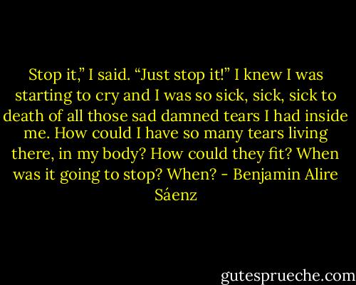 Stop it,” I said. “Just stop it!” I knew I was starting to cry and I was so sick, sick, sick to death of all those sad damned tears I had inside me. How could I have so many tears living there, in my body? How could they fit? When was it going to stop? When? - Benjamin Alire Sáenz