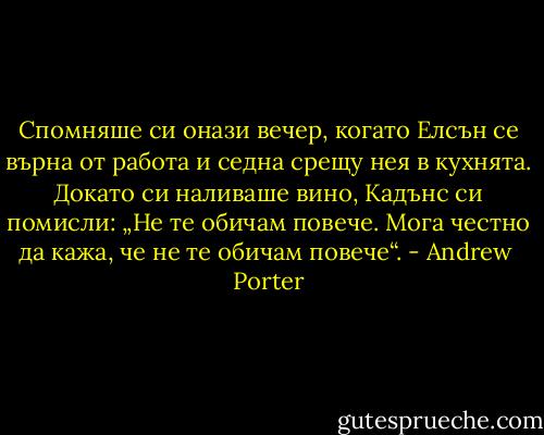 Спомняше си онази вечер, когато Елсън се върна от работа и седна срещу нея в кухнята. Докато си наливаше вино, Кадънс си помисли: „Не те обичам повече. Мога честно да кажа, че не те обичам повече“. - Andrew  Porter
