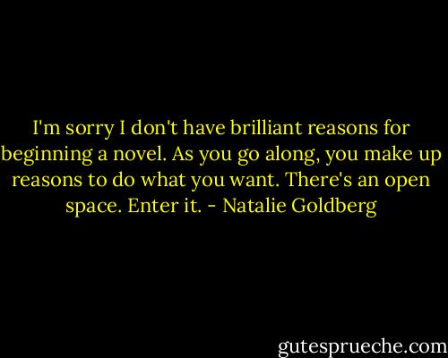 I'm sorry I don't have brilliant reasons for beginning a novel. As you go along, you make up reasons to do what you want. There's an open space. Enter it. - Natalie Goldberg