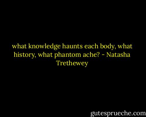what knowledge haunts each body, what history, what phantom ache? - Natasha Trethewey
