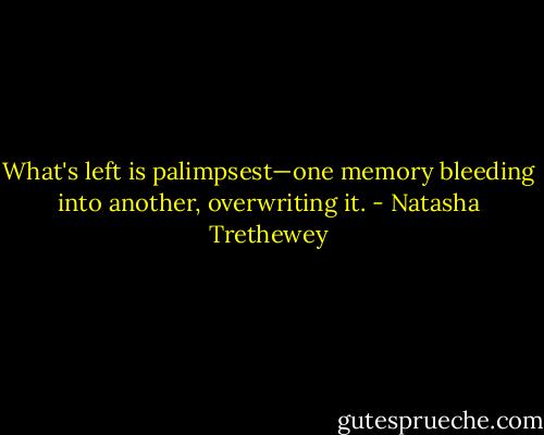 What's left is palimpsest—one memory bleeding into another, overwriting it. - Natasha Trethewey