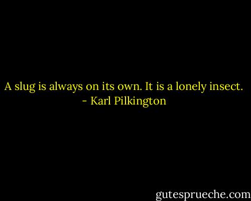 A slug is always on its own. It is a lonely insect. - Karl Pilkington