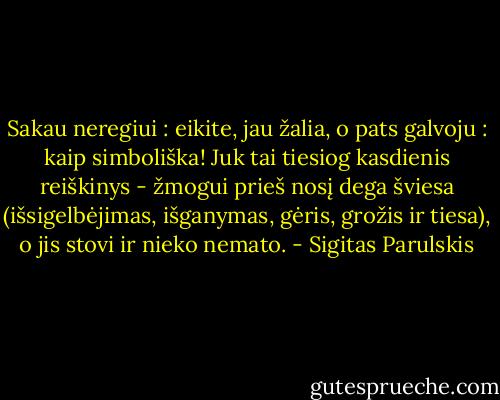 Sakau neregiui : eikite, jau žalia, o pats galvoju : kaip simboliška! Juk tai tiesiog kasdienis reiškinys - žmogui prieš nosį dega šviesa (išsigelbėjimas, išganymas, gėris, grožis ir tiesa), o jis stovi ir nieko nemato. - Sigitas Parulskis