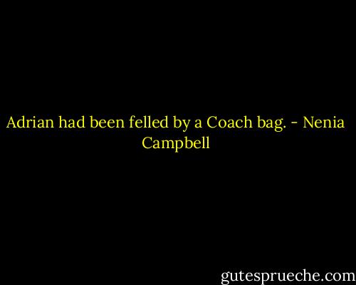 Adrian had been felled by a Coach bag. - Nenia Campbell