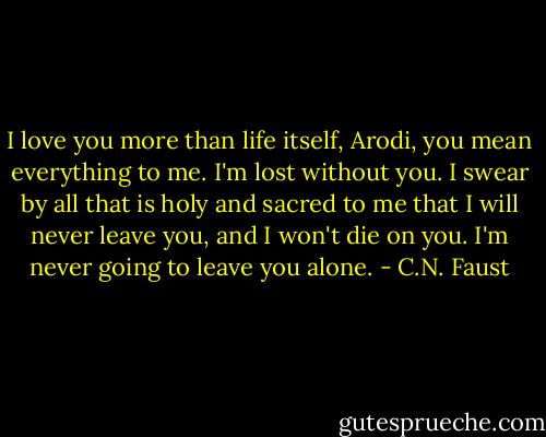 I love you more than life itself, Arodi, you mean everything to me. I'm lost without you. I swear by all that is holy and sacred to me that I will never leave you, and I won't die on you. I'm never going to leave you alone. - C.N. Faust
