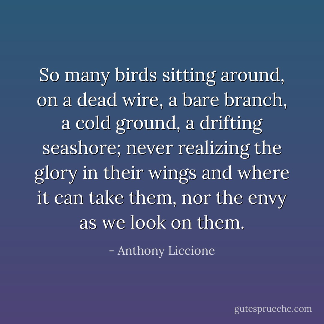 So many birds sitting around, on a dead wire, a bare branch, a cold ground, a drifting seashore; never realizing the glory in their wings and where it can take them, nor the envy as we look on them. - Anthony Liccione
