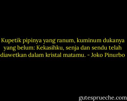 Kupetik pipinya yang ranum,<br />kuminum dukanya yang belum: Kekasihku,<br />senja dan sendu telah diawetkan dalam kristal matamu. - Joko Pinurbo