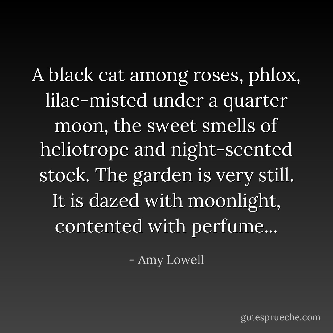 A black cat among roses,<br />phlox, lilac-misted under a quarter moon,<br />the sweet smells of heliotrope and night-scented stock. The garden is very still.<br />It is dazed with moonlight,<br />contented with perfume... - Amy Lowell