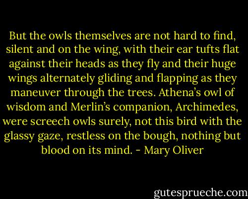 But the owls themselves are not hard to find, silent and on the wing, with their ear tufts flat against their heads as they fly and their huge wings alternately gliding and flapping as they maneuver through the trees. Athena’s owl of wisdom and Merlin’s companion, Archimedes, were screech owls surely, not this bird with the glassy gaze, restless on the bough, nothing but blood on its mind. - Mary Oliver