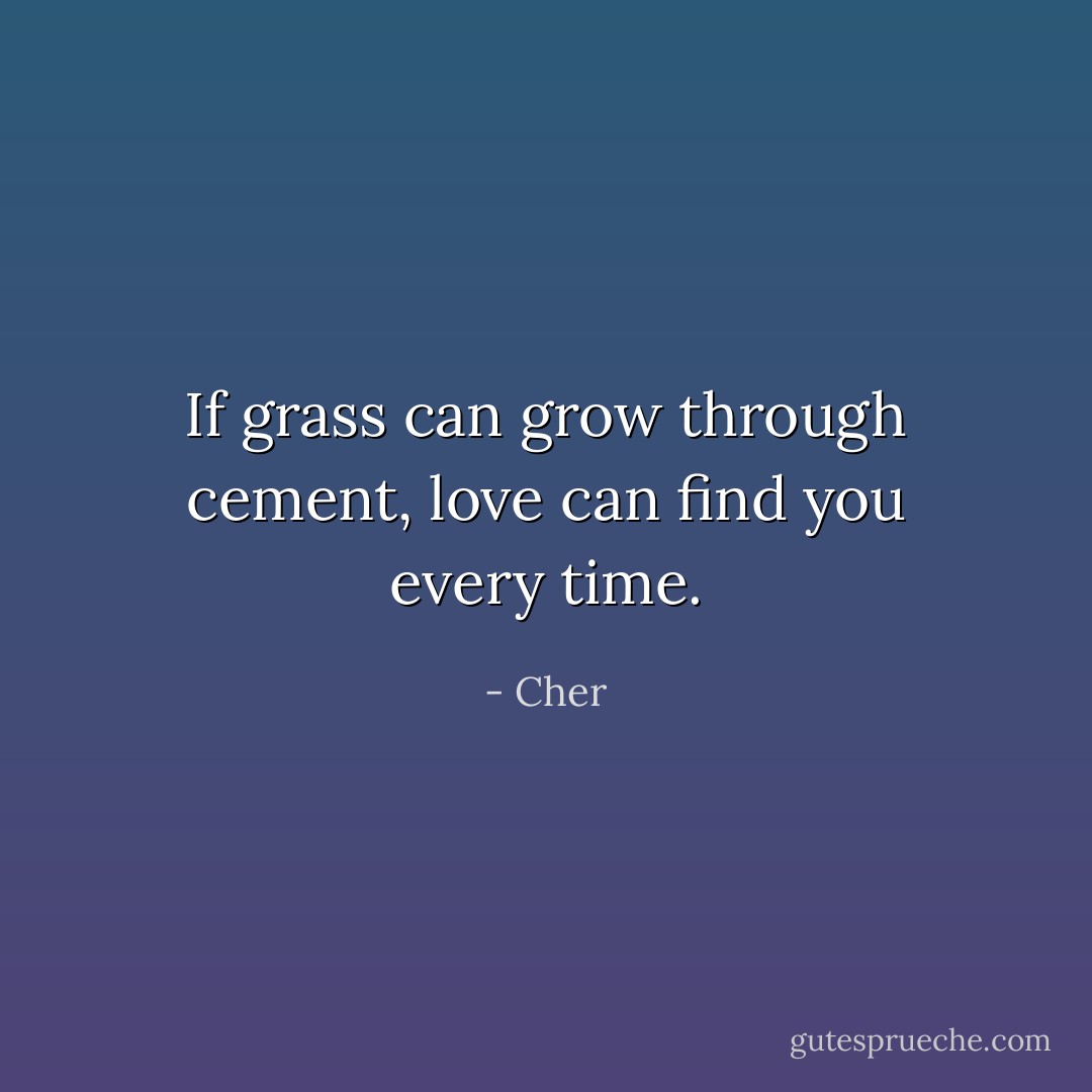 If grass can grow through cement, love can find you every time. - Cher