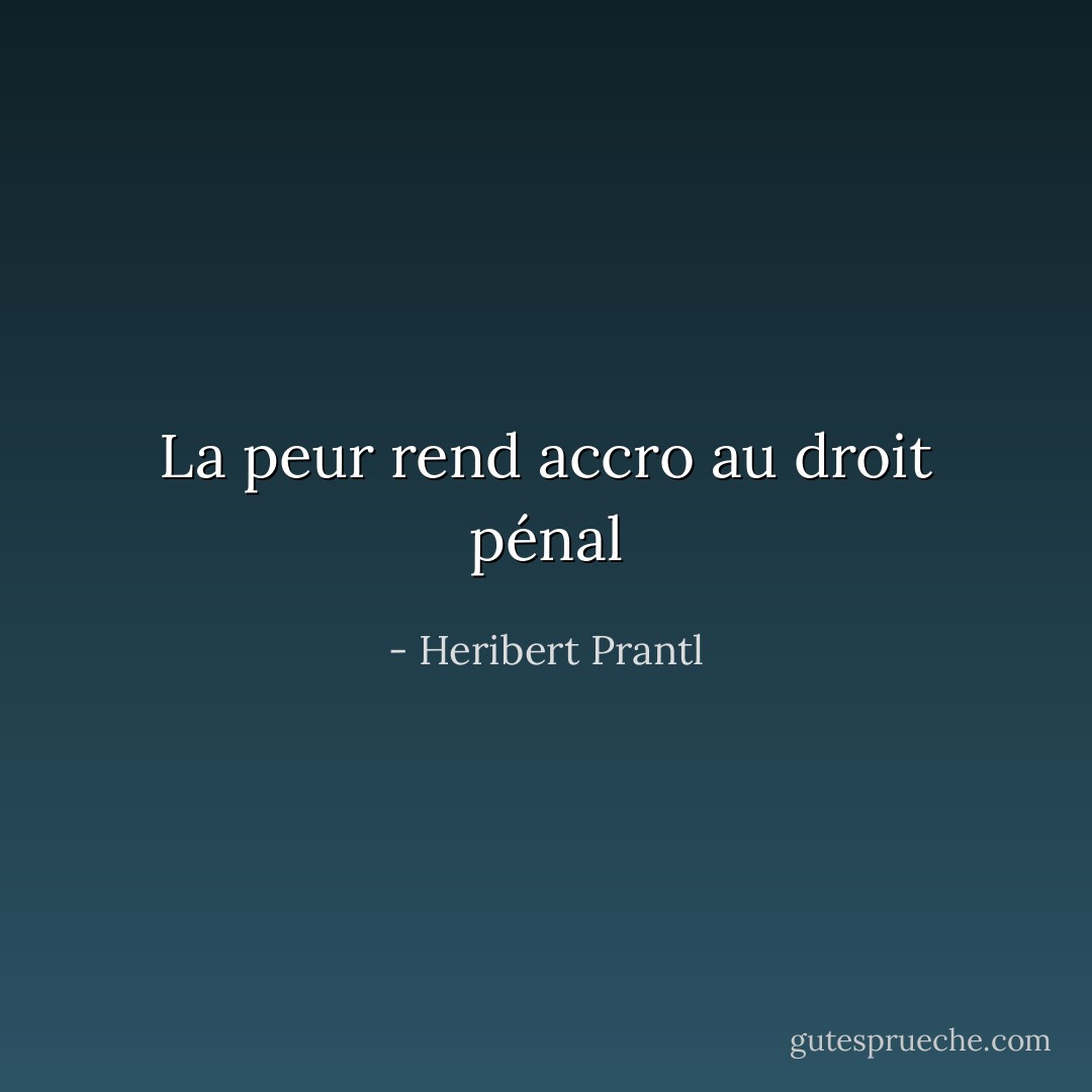La peur rend accro au droit pénal - Heribert Prantl