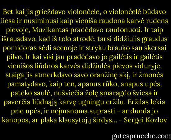 Bet kai jis grieždavo violončele, o violončelė būdavo liesa ir nusiminusi kaip vieniša raudona karvė rudens pievoje, Muzikantas pradėdavo raudonuoti. Ir taip išrausdavo, kad iš tolo atrodė, tarsi didžiulis graudus pomidoras sėdi scenoje ir stryku brauko sau skersai pilvo. Ir kai visi jau pradėdavo jo gailėtis ir gailėtis vienišos liūdnos karvės didžiulės pievos viduryje, staiga jis atmerkdavo savo oranžinę akį, ir žmonės pamatydavo, kaip ten, apanus rūko, anapus upės, pateko saulė, nušviečia žolę smaragdo šviesa ir paverčia liūdnąją karvę ugningu eržilu. Eržilas lekia prie upės, ir neįmanoma suprasti - ar dunda jo kanopos, ar plaka klausytojų širdys... - Sergei Kozlov