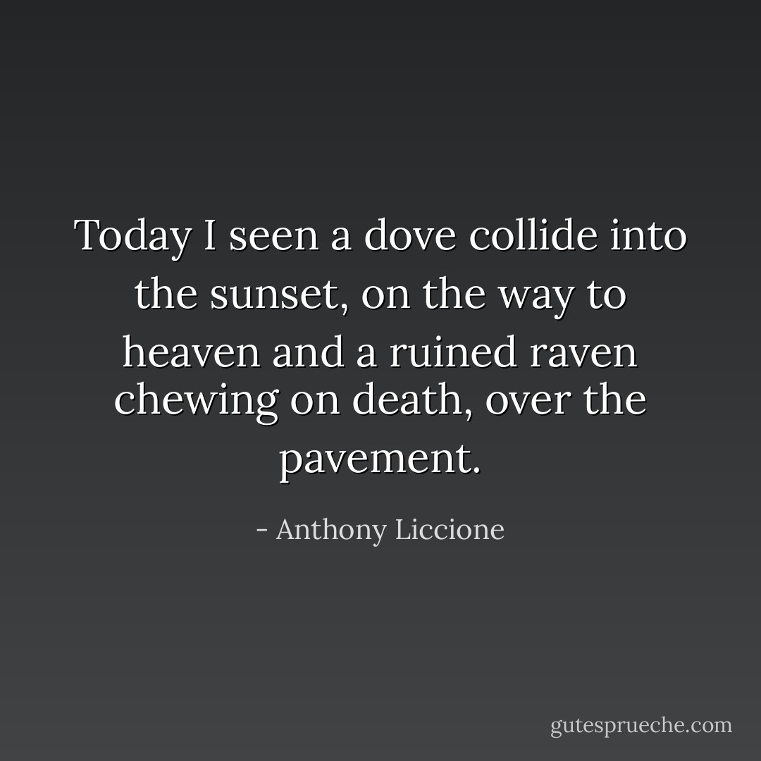 Today I seen a dove collide into the sunset, on the way to heaven and a ruined raven chewing on death, over the pavement. - Anthony Liccione