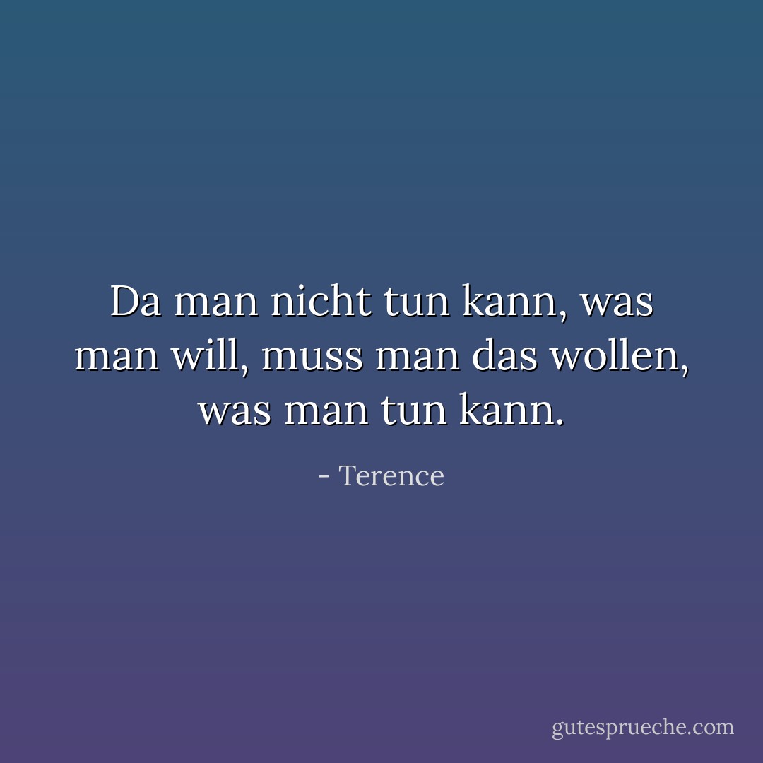 Da man nicht tun kann, was man will, muss man das wollen, was man tun kann. - Terence