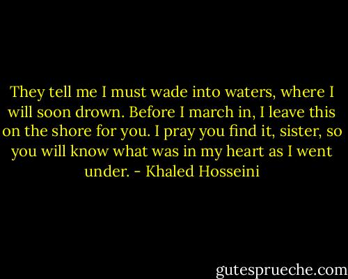 They tell me I must wade into waters, where I will soon drown. Before I march in, I leave this on the shore for you. I pray you find it, sister, so you will know what was in my heart as I went under. - Khaled Hosseini